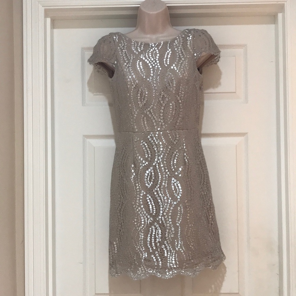 EUC Slate& Willow Silver Lace Mini Dress Size 2